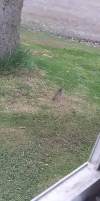 Riverside Estates - Mobile Home Community 2