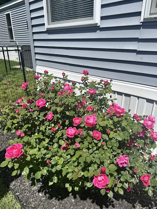 Red Hill Mobile Park 6