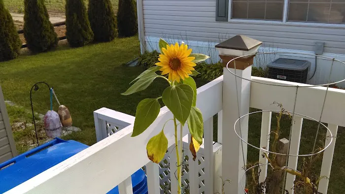 Red Hill Mobile Park 4