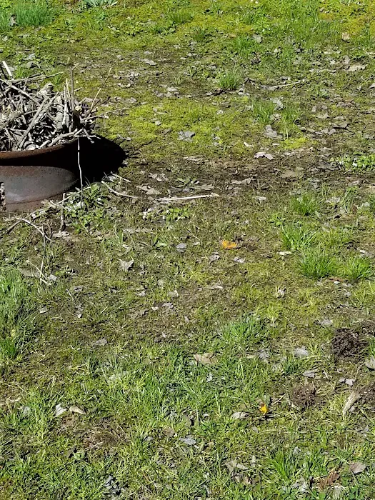 Little City Campground 7