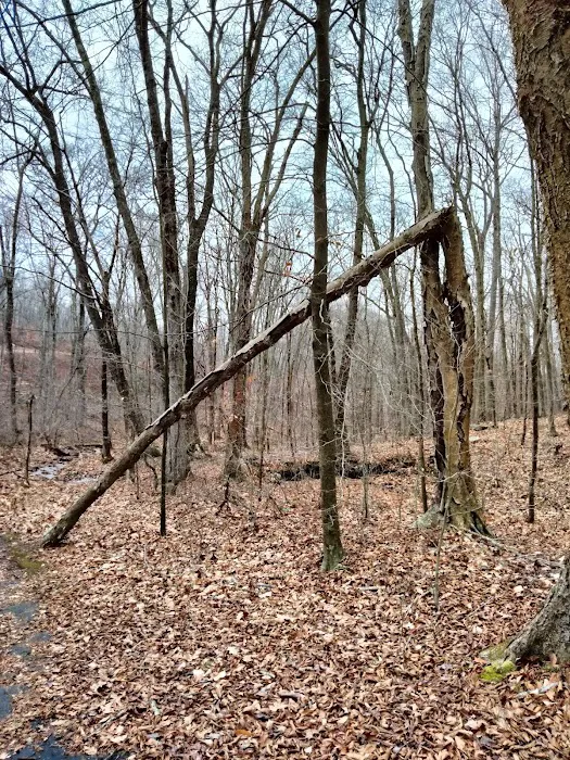 Hurd State Park River Camp 3