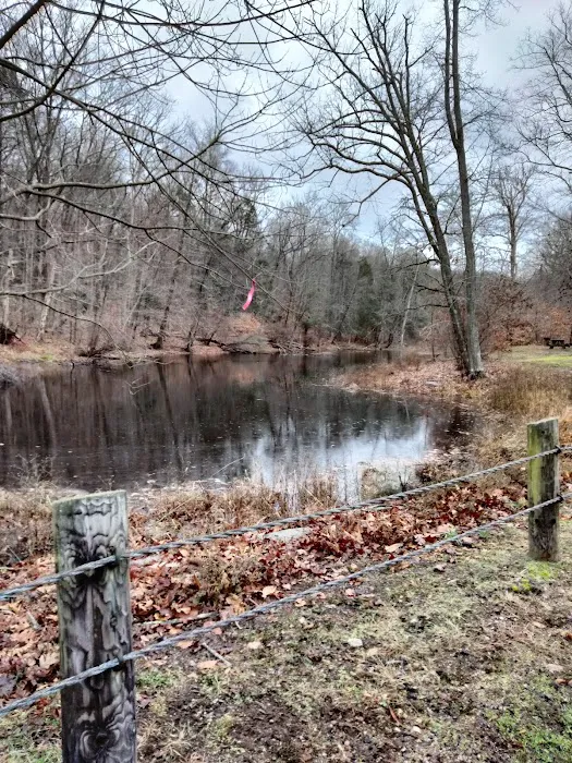 Hurd State Park River Camp 7