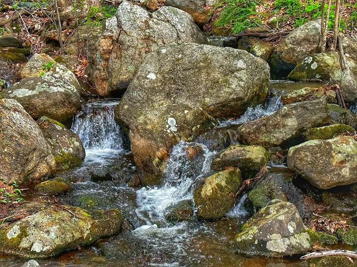 Hurd State Park River Camp 8