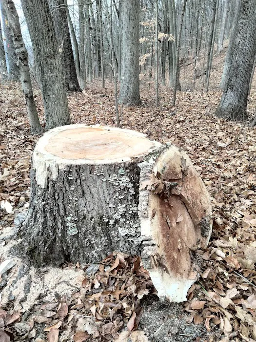 Hurd State Park River Camp 9