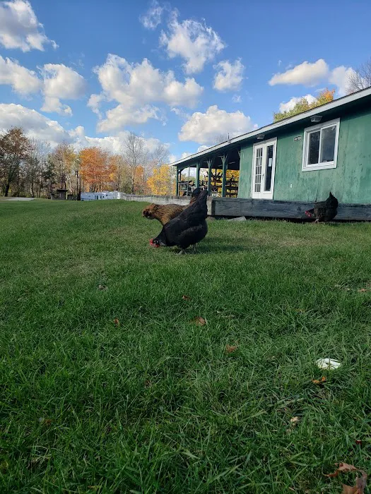 Summit Hill Campground 5