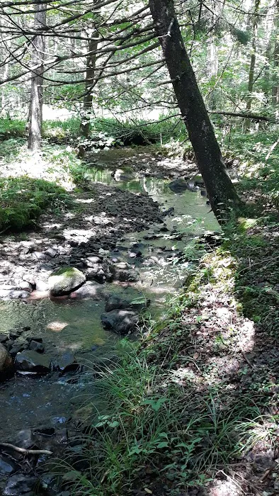 Fernwood Forest Campground 2