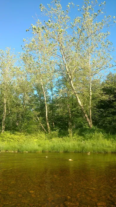 Indian Hollow Campground 7