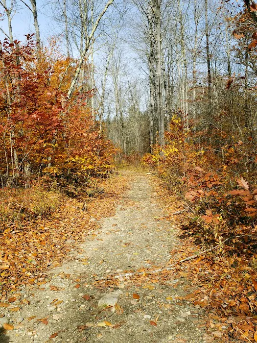 Indian Hollow Campground 9