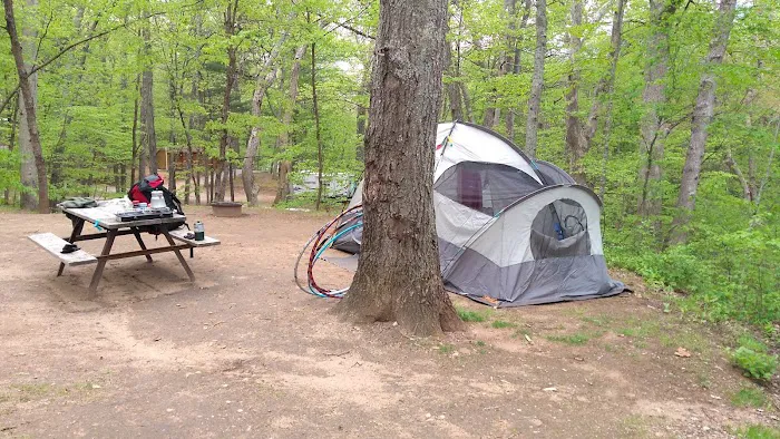 Riverdale Farm Campsite 2