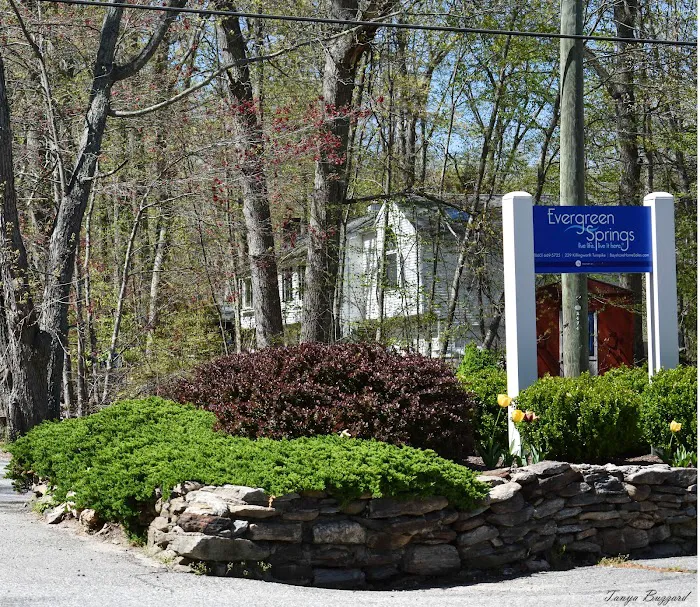 Evergreen Springs Manufactured Home Community 1