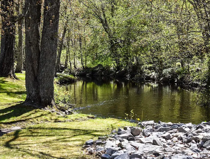 Evergreen Springs Manufactured Home Community 8