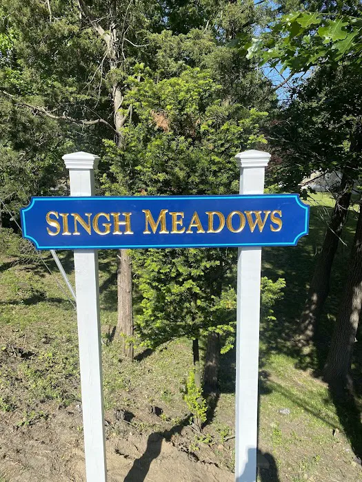 Singh Meadows 2