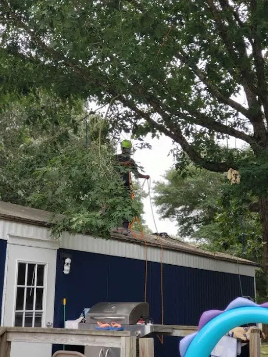 Walkers Mill - Walkers Meadow Mobile Home Park 2