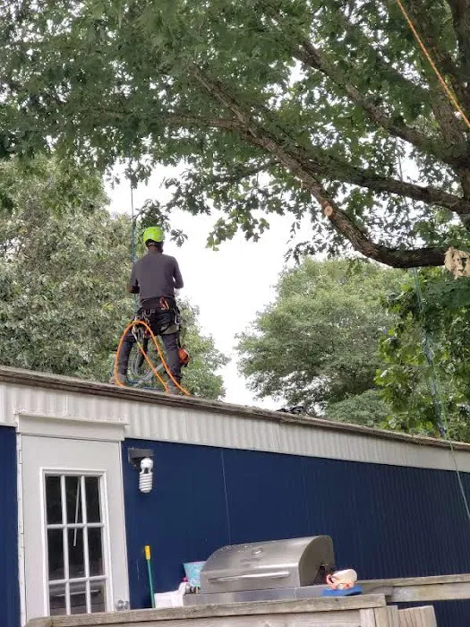 Walkers Mill - Walkers Meadow Mobile Home Park 1