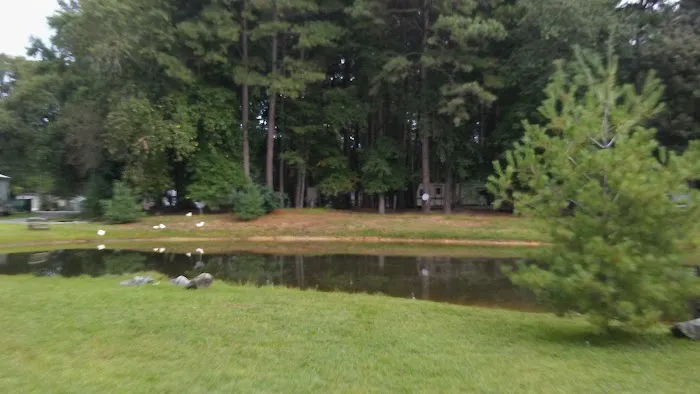 Brumbley's Family Park Campground 5