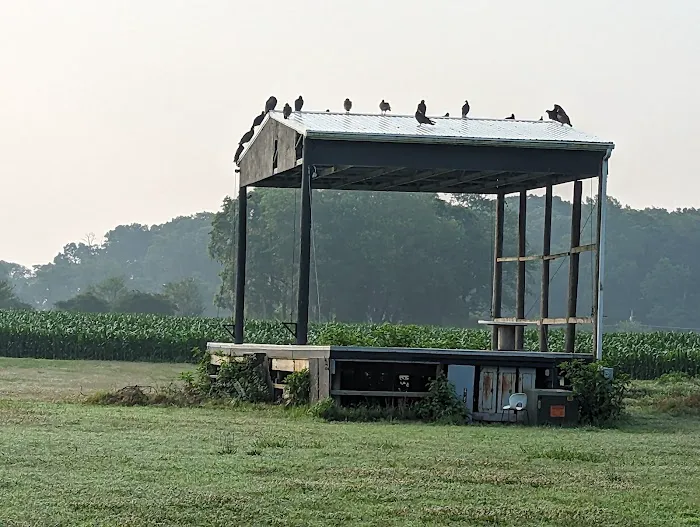 Deep Branch Family Campground 5