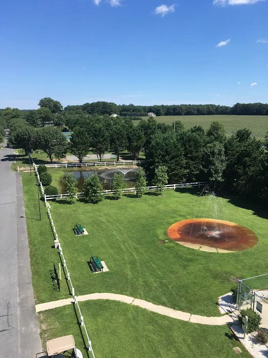 Homestead Campground 3