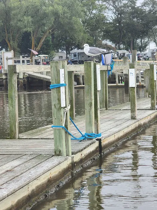 Steamboat Landing LLC 8