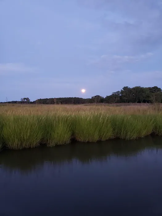 Steamboat Landing LLC 2