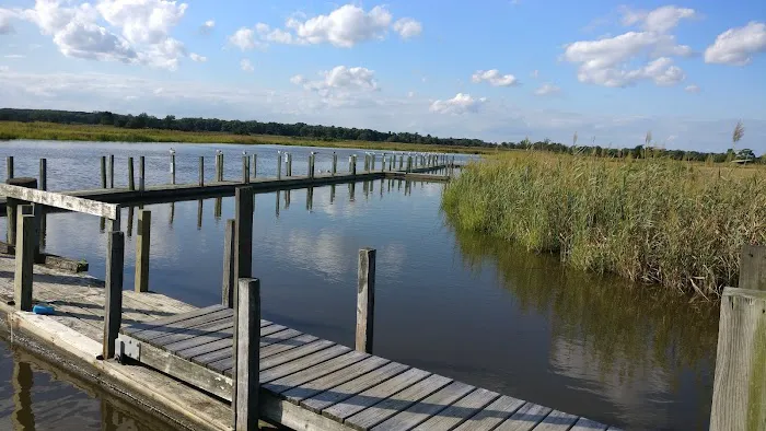 Steamboat Landing LLC 6