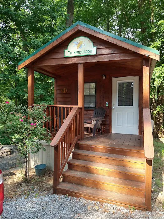 Tall Pines Campground Resort 5