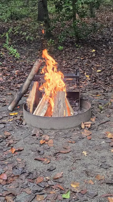Tuckahoe State Park Campground Eagle Loop 3