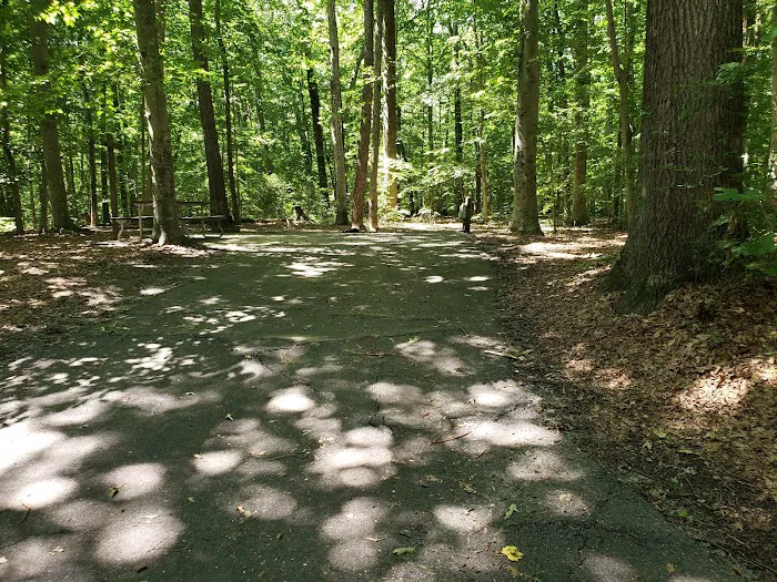 Tuckahoe State Park Campground Eagle Loop 1