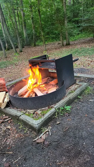Martinak State Park, Campground, Loop A 3