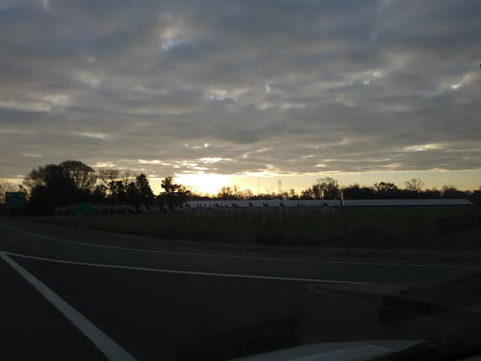 Cottage Country Crafts 2