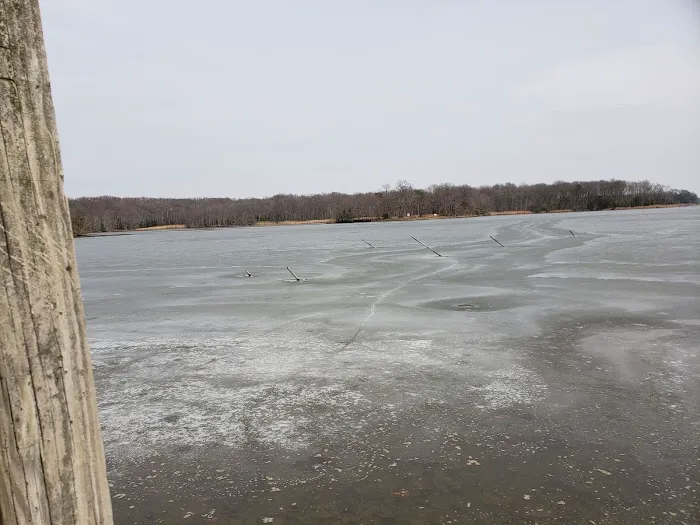 Skipper's Point Campground 2