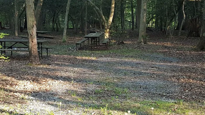 Skipper's Point Campground 0