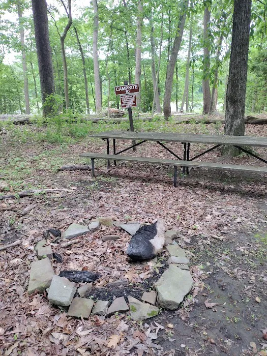 Skipper's Point Campground 6