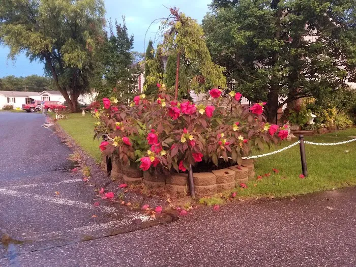 Williams Estates and Peppermint Woods 4