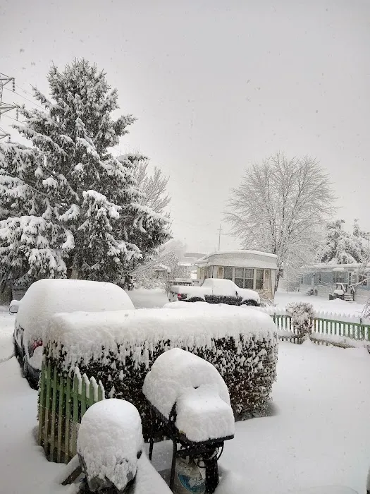 Stewart's Trailer Park 9