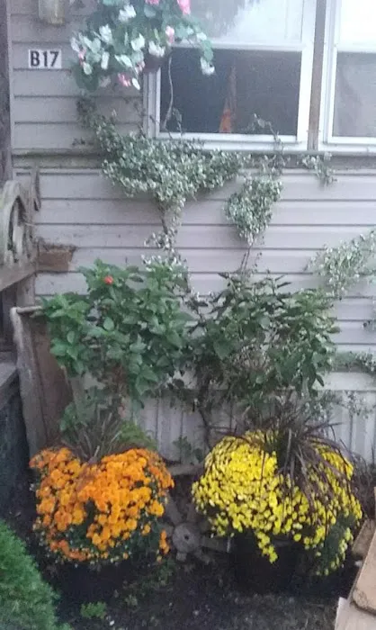 Stewart's Trailer Park 7