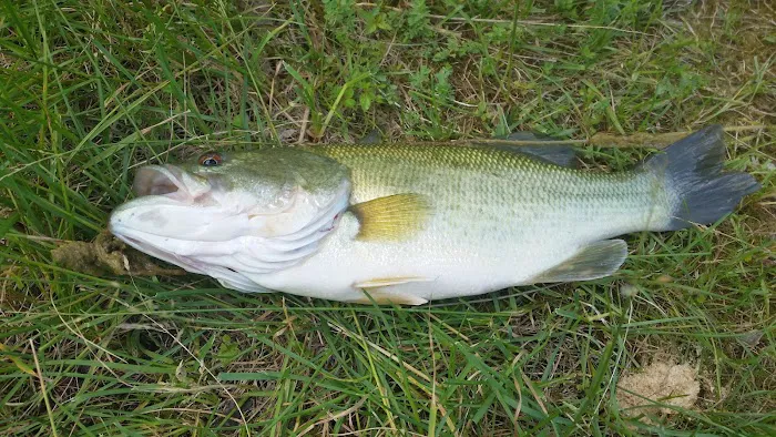 hickory ridge trailer park 2