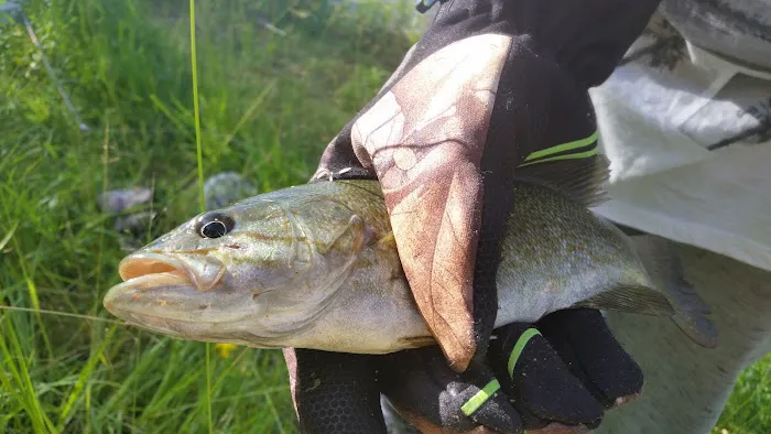 hickory ridge trailer park 1