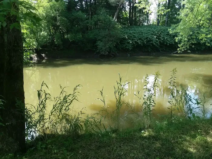 Lizzie's Campground Corporation 9