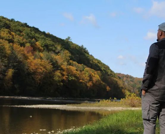 Forest Manor Mobile Home Park