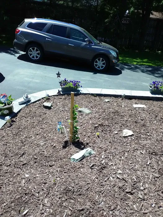 Virginia City Mobile Home Court 1