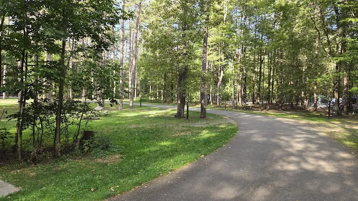 Chipmunk Bluff Camping Area 0