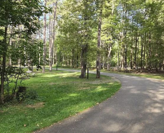 Chipmunk Bluff Camping Area