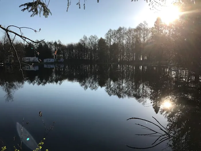 Meadow-Vale Campsites 6