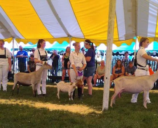 Iroquois Farm Showgrounds