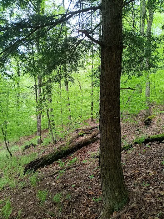 Alfheim Botanical LLC 6