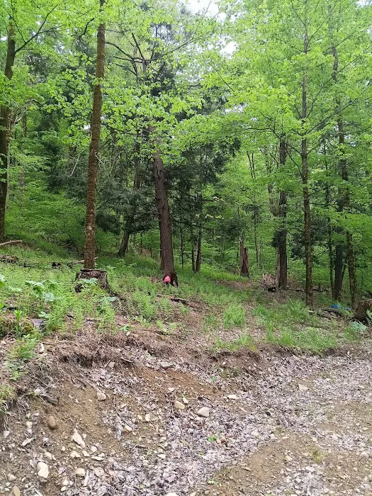 Alfheim Botanical LLC 8