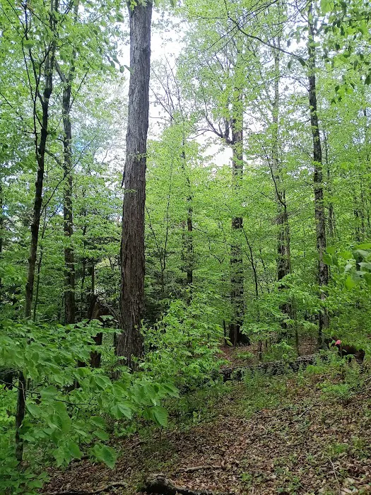 Alfheim Botanical LLC 2