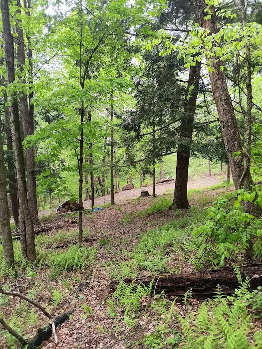 Alfheim Botanical LLC 3