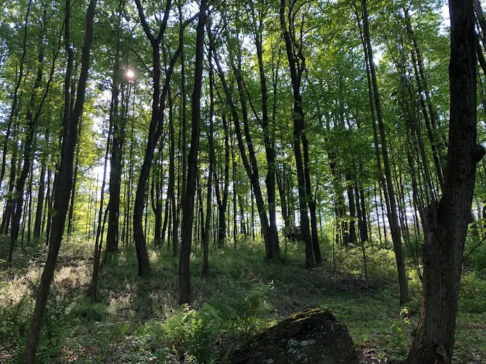 Red Creek Hideaway 6