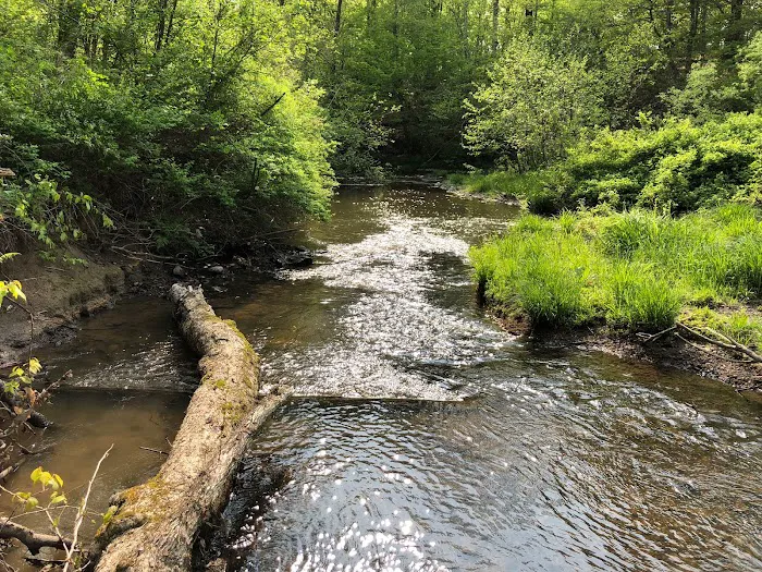 Red Creek Hideaway 8